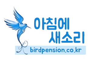 평창 아침에새소리 펜션